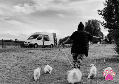 poshpetstravel 21 40