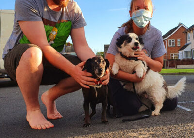 poshpetstravel 21 41