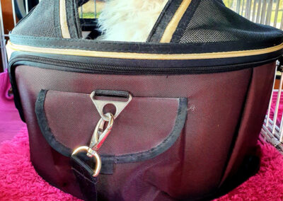 poshpetstravel 21 45