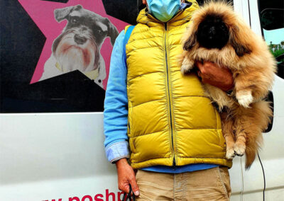 poshpetstravel 21 47