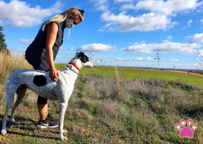 poshpetstravel 21 48