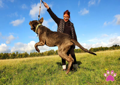 poshpetstravel 21 49